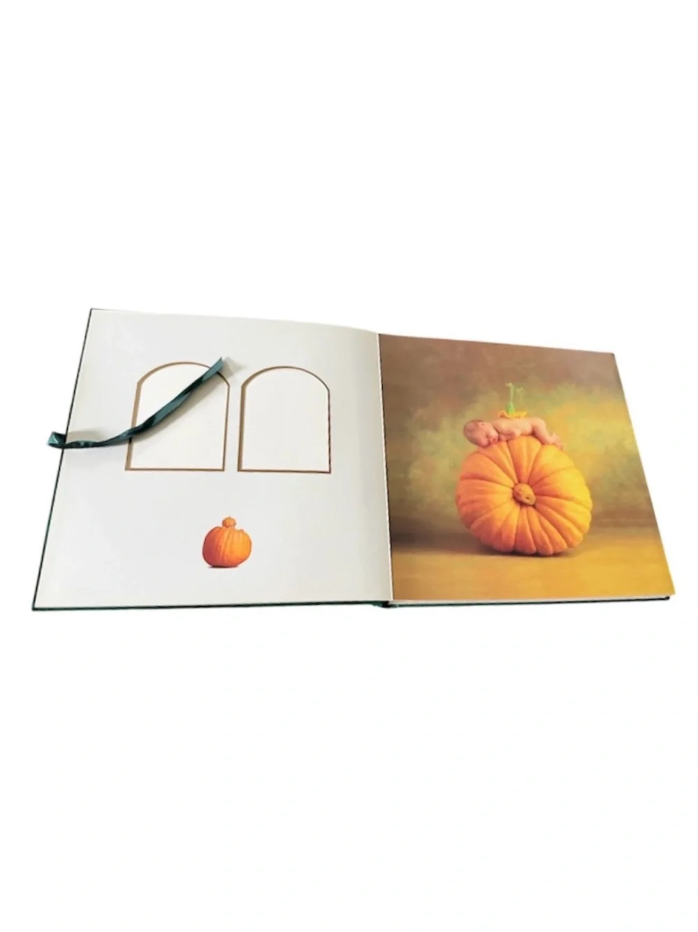 NWOT Vintage 90s Anne Geddes Hardcover Photo Album